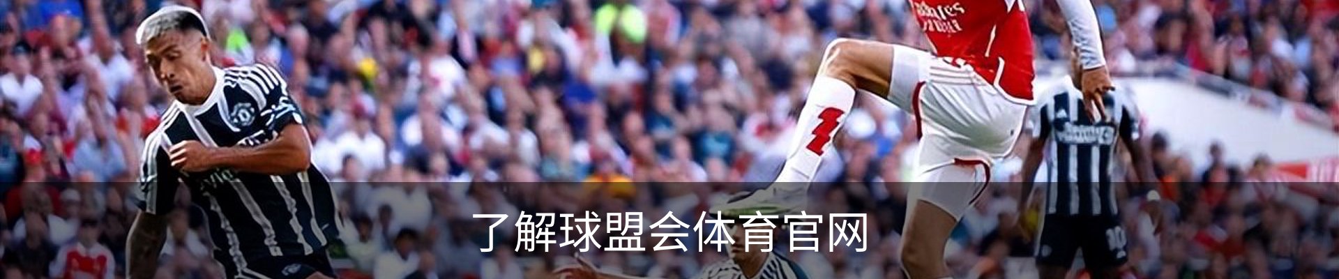 了解球盟会体育官网