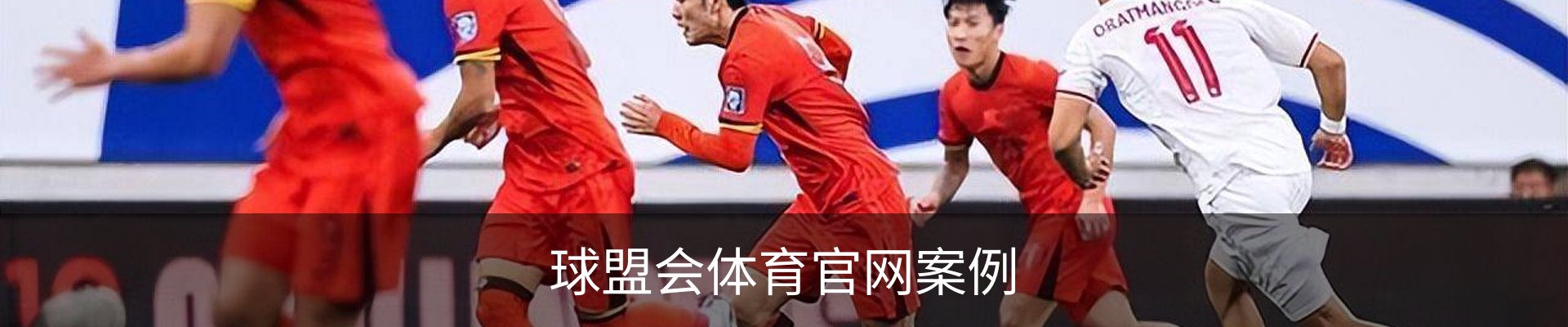 球盟会体育官网案例